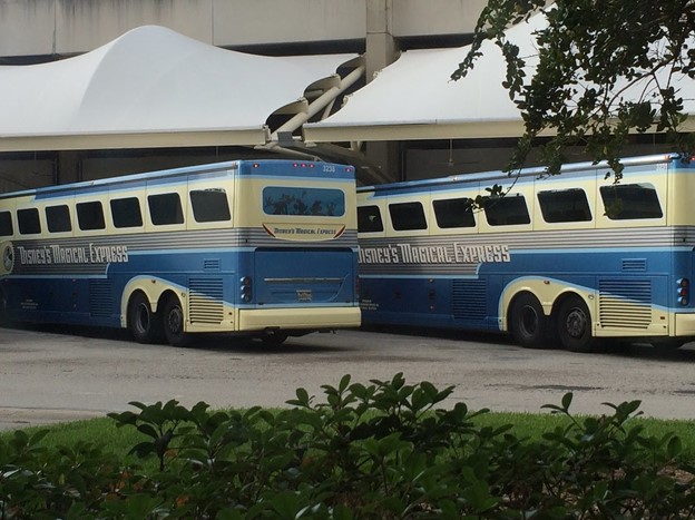 two buses waiting at a bus station in Orlando